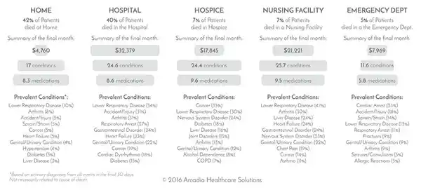 The final year detail 3