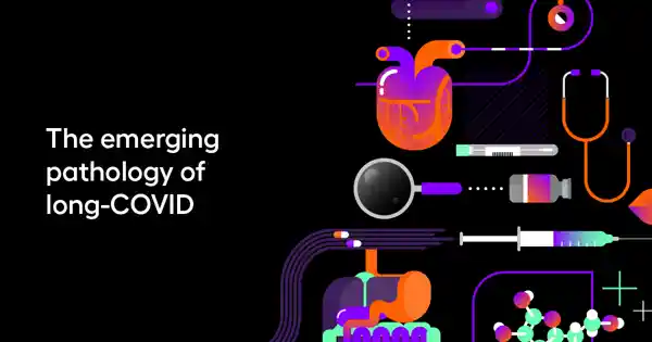 The emerging pathology of long-COVID