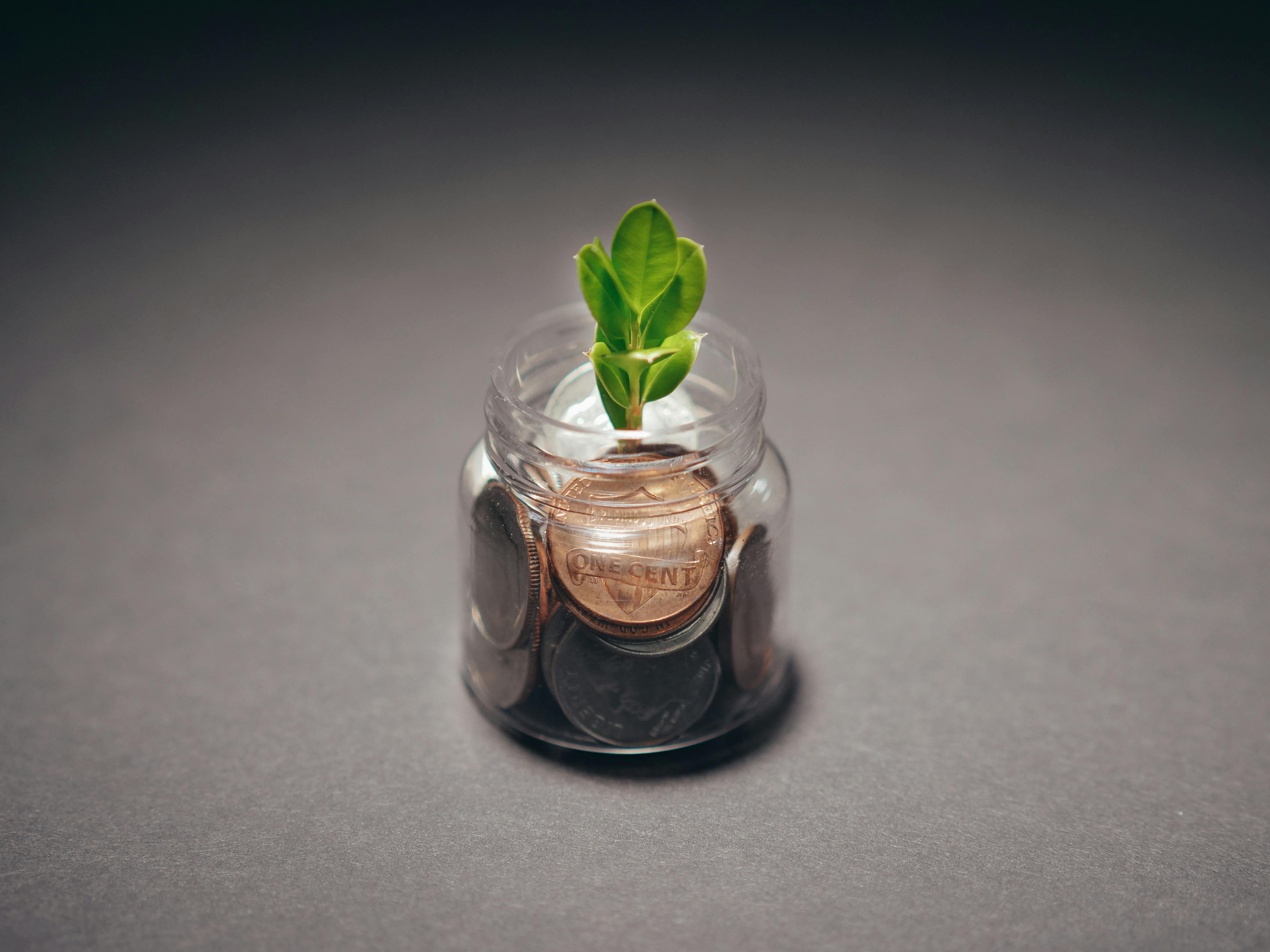 Savings