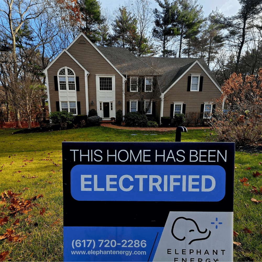 Elephant energy boston home