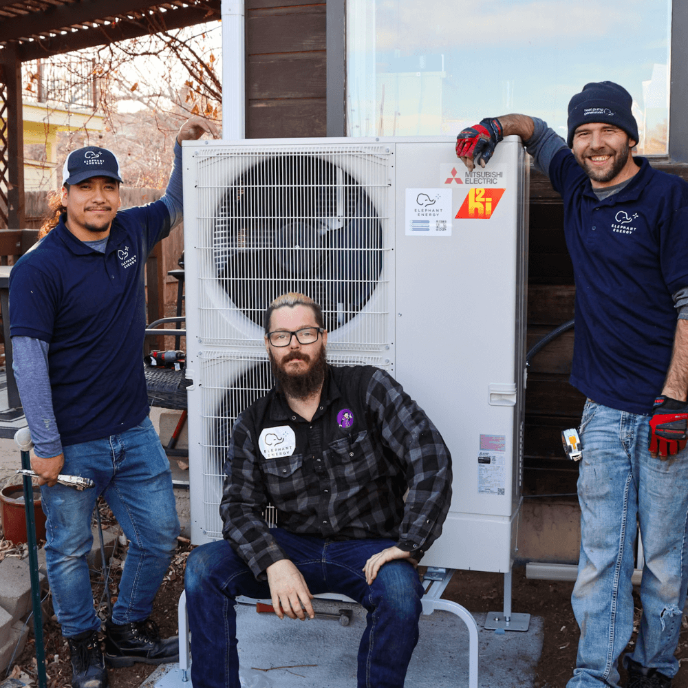 Elephant energy team with heat pump in cold