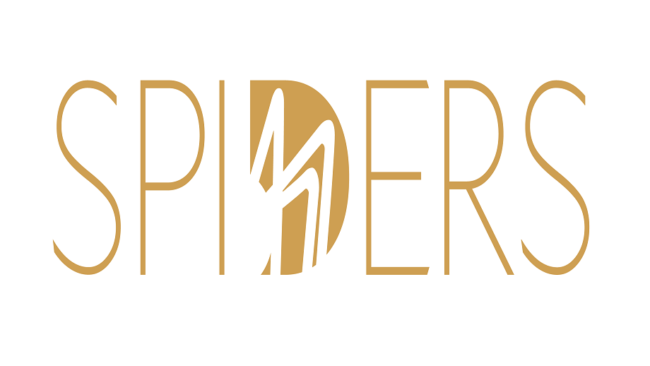 Spiders Logos Isolated3 blog