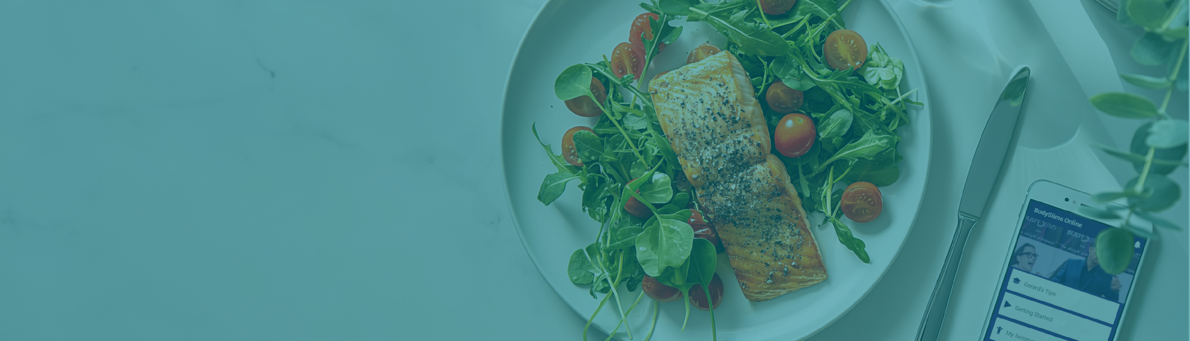 Bodyslims Case Study Web Header