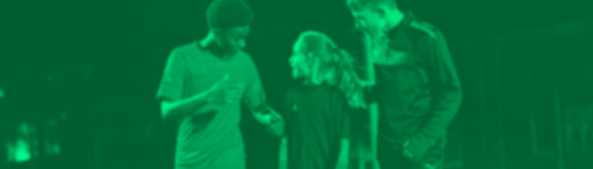 Elverys Case Study header