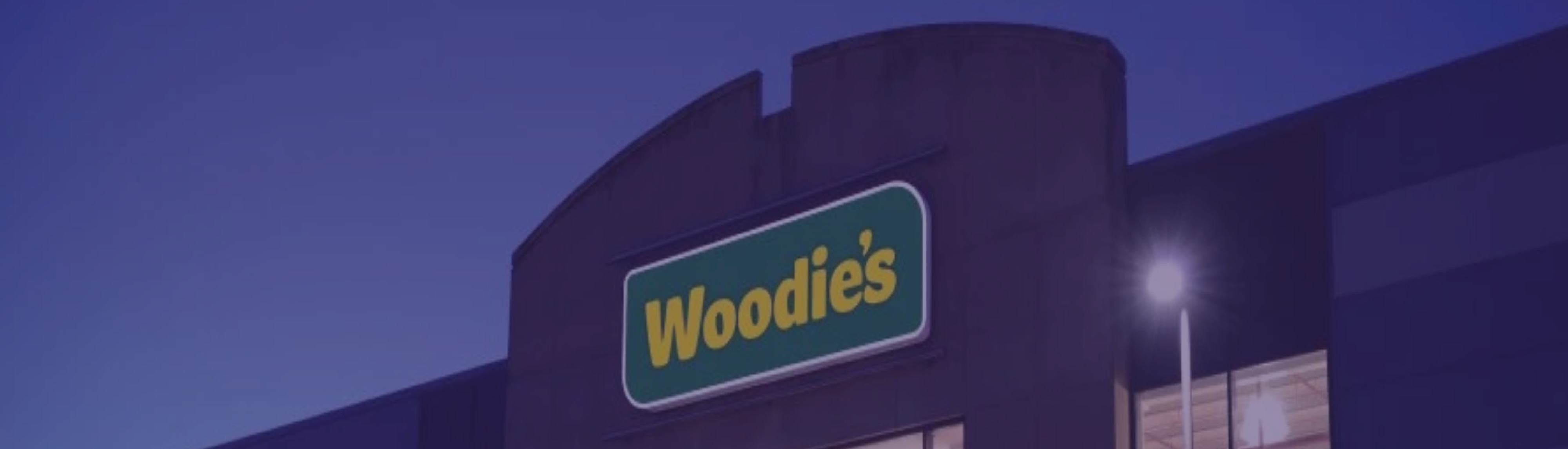 Woodies Case Study Web Header