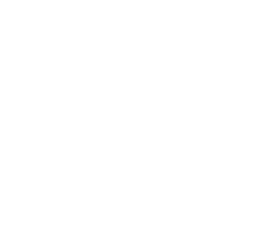 Arctic Adventures White