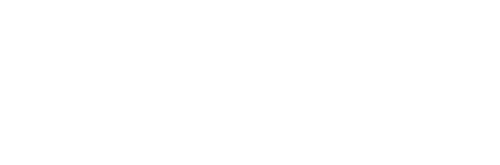 Intersport Elverys White