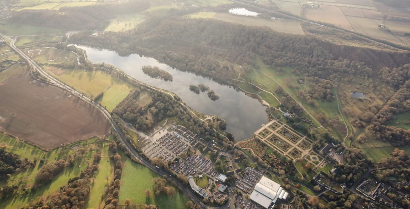 Trentham beaver featured