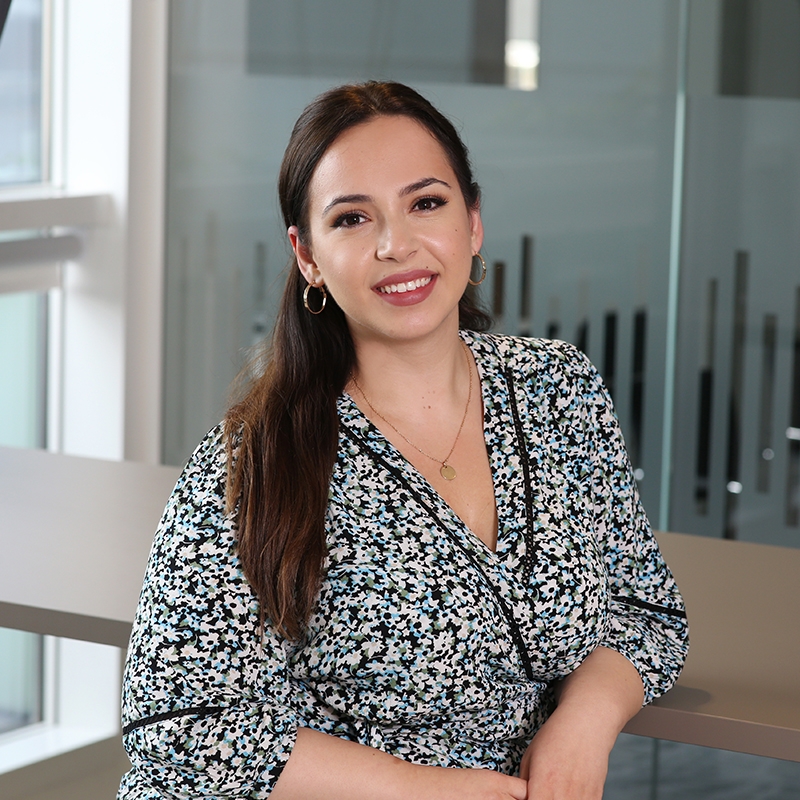 Ada Brahimi