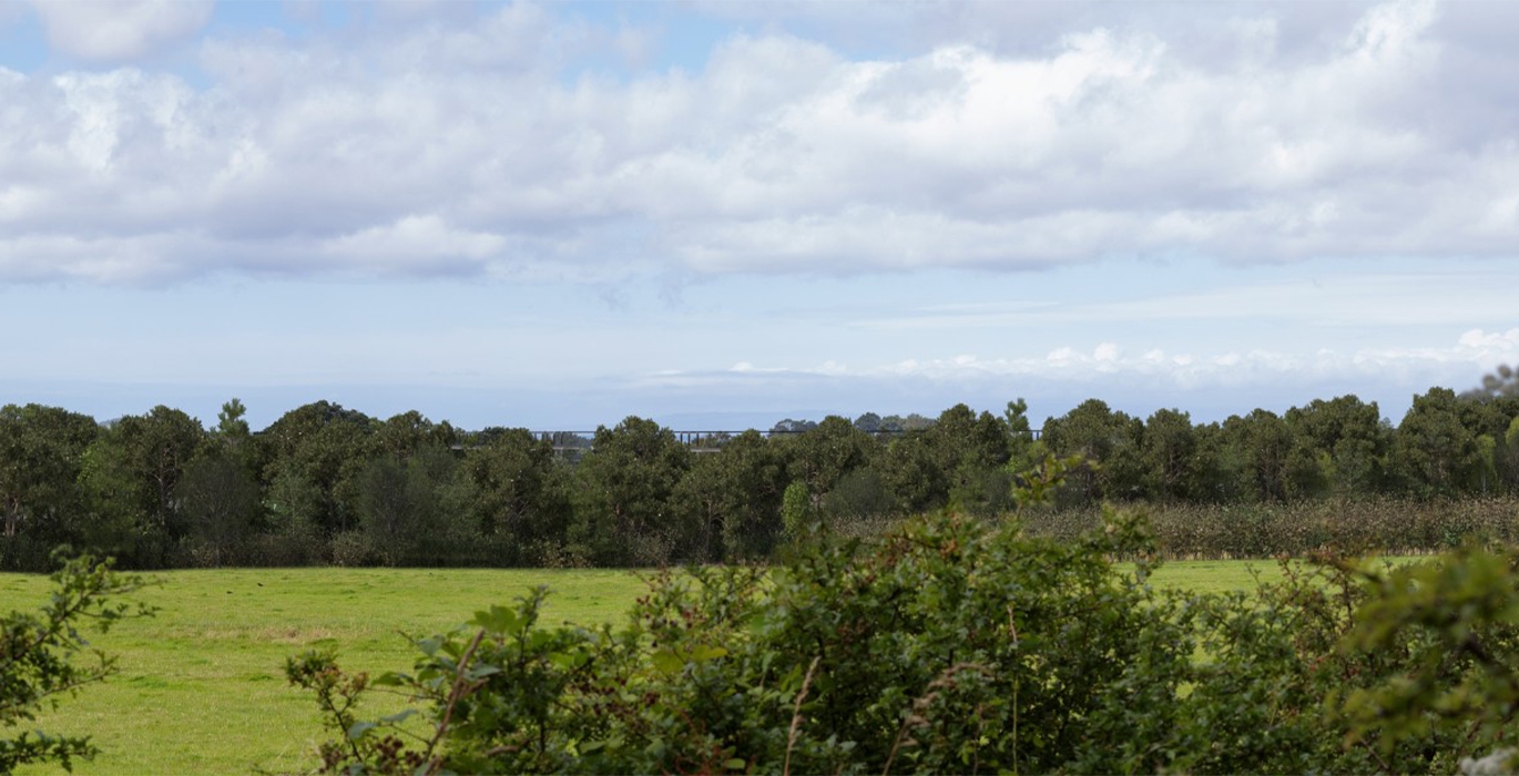 Bess ayr featured