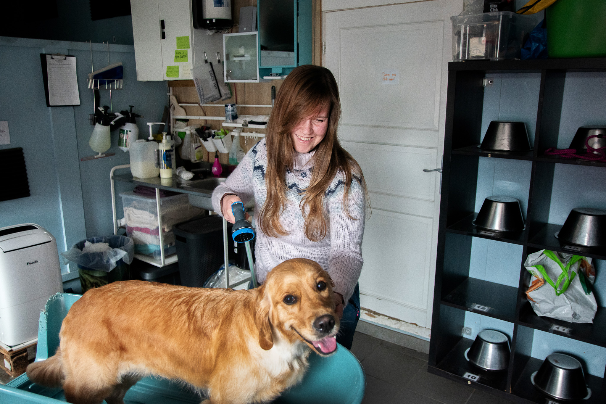 Kvinne vasker hunden sin i en badebalje.