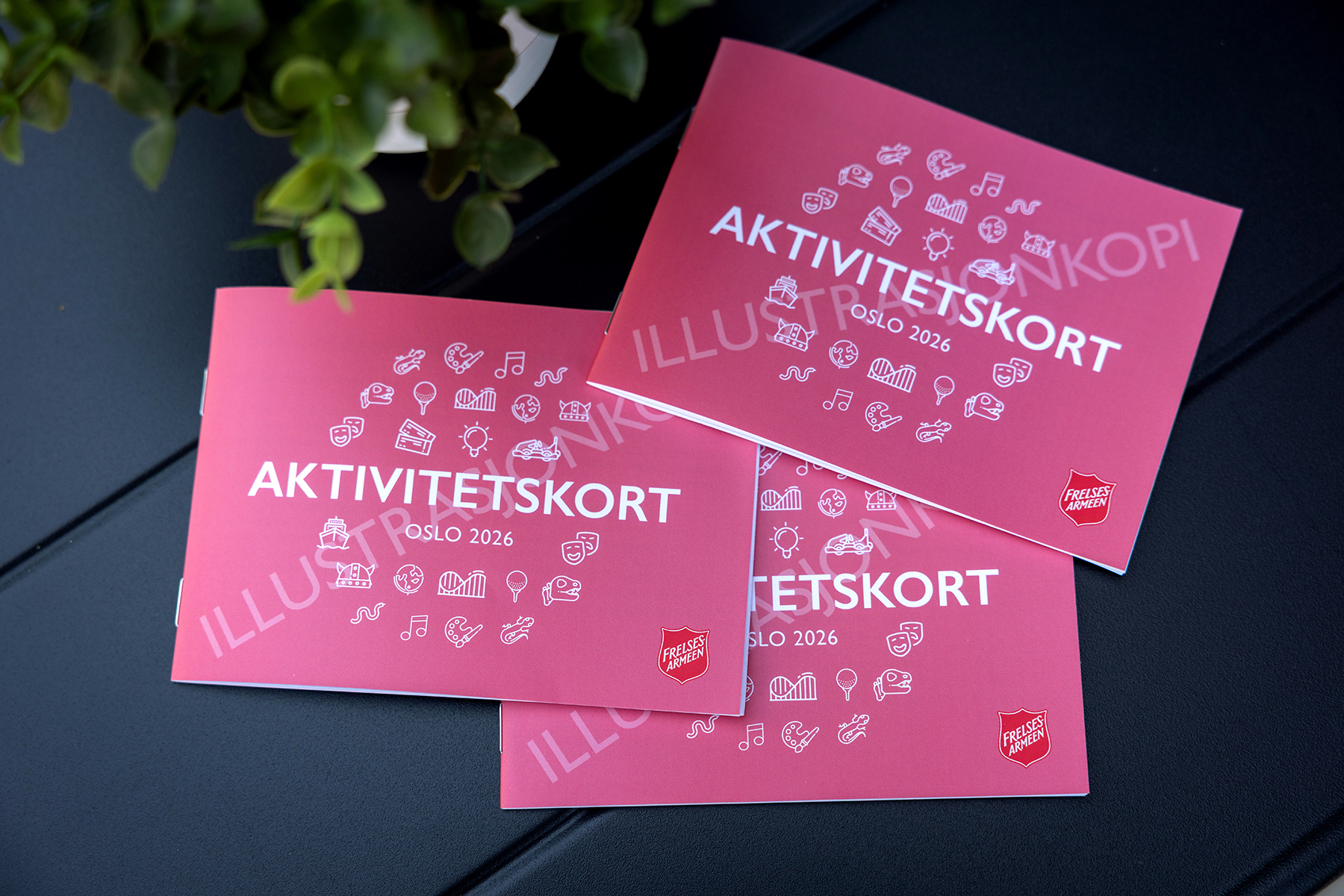 Foto: Tre avlange, røde brosjyrer med teksten Akltivitetskort på.