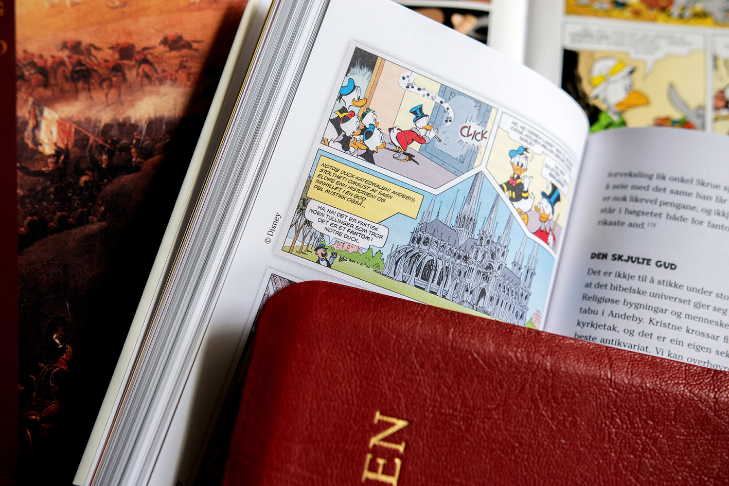 Walgermos Donald Duck DK