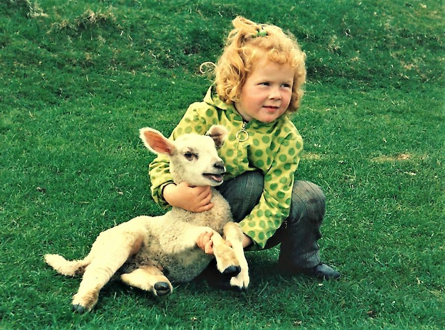 Foto: Liten jente med rødt, krøllete hår holder rundt et lam.