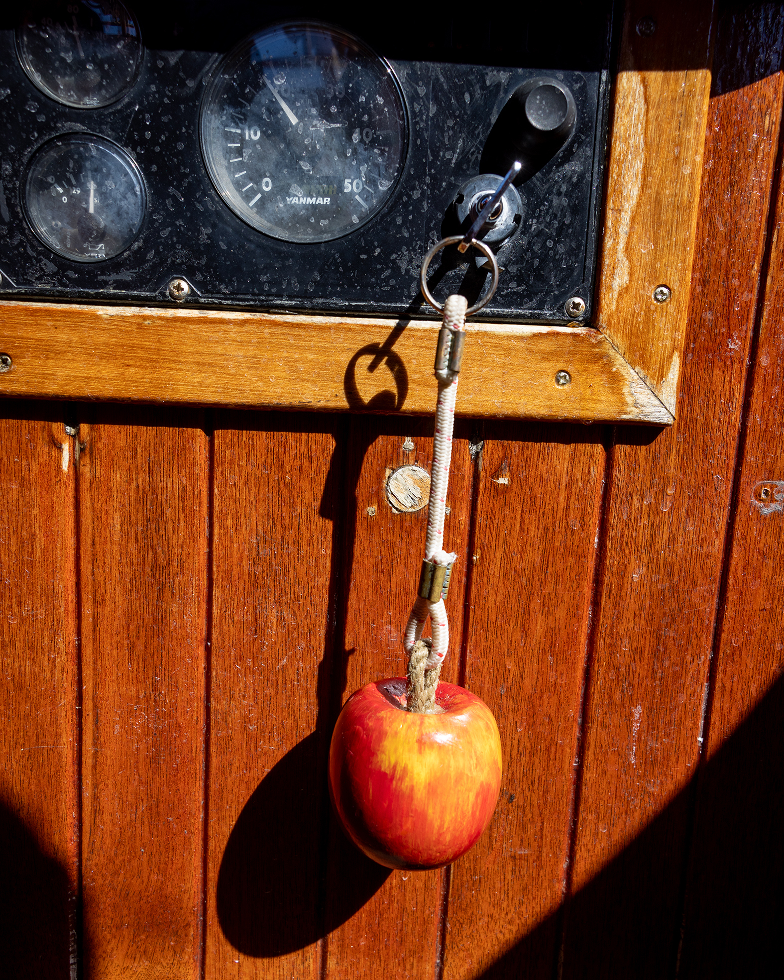 Foto: Et lite eple i tre som henger i et tau.