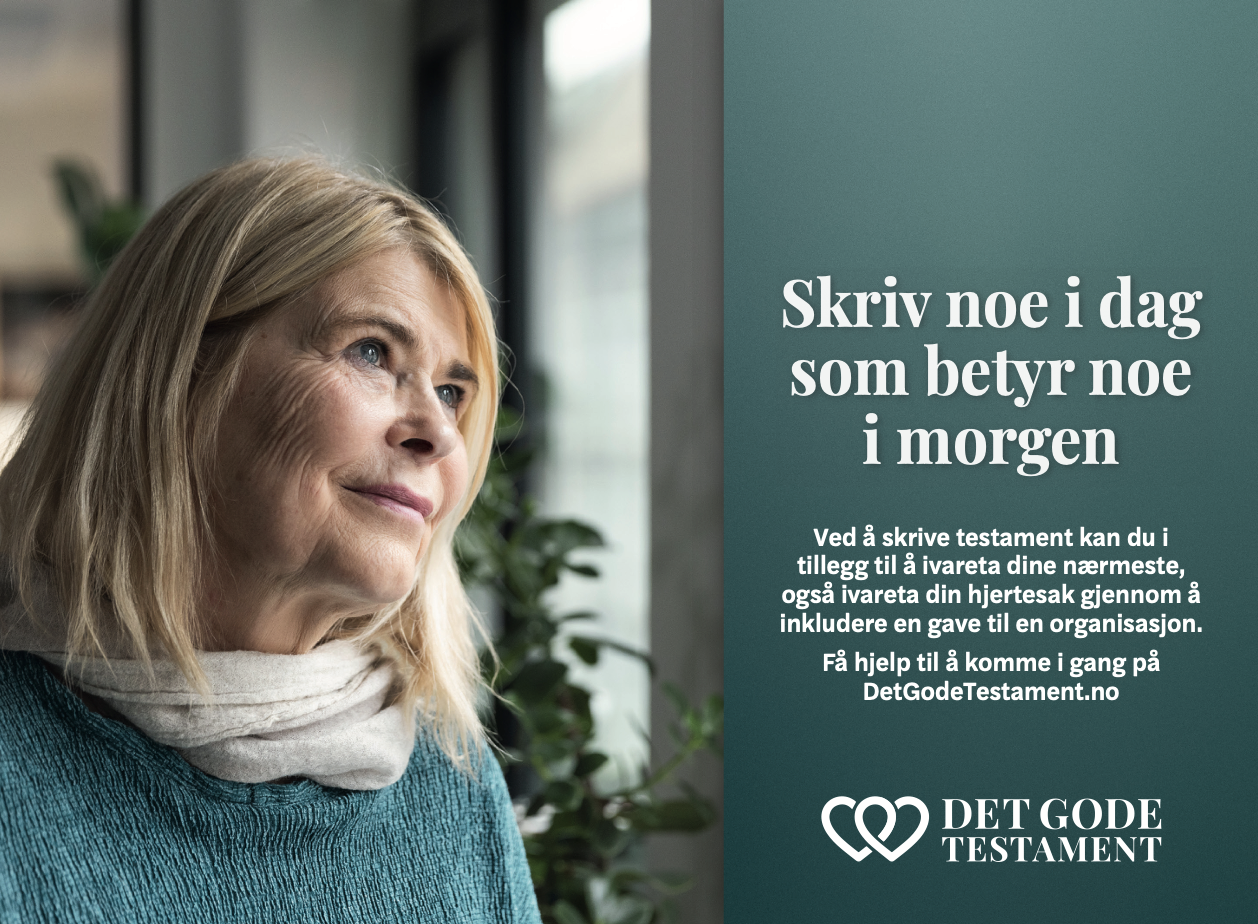 Det gode testament 2
