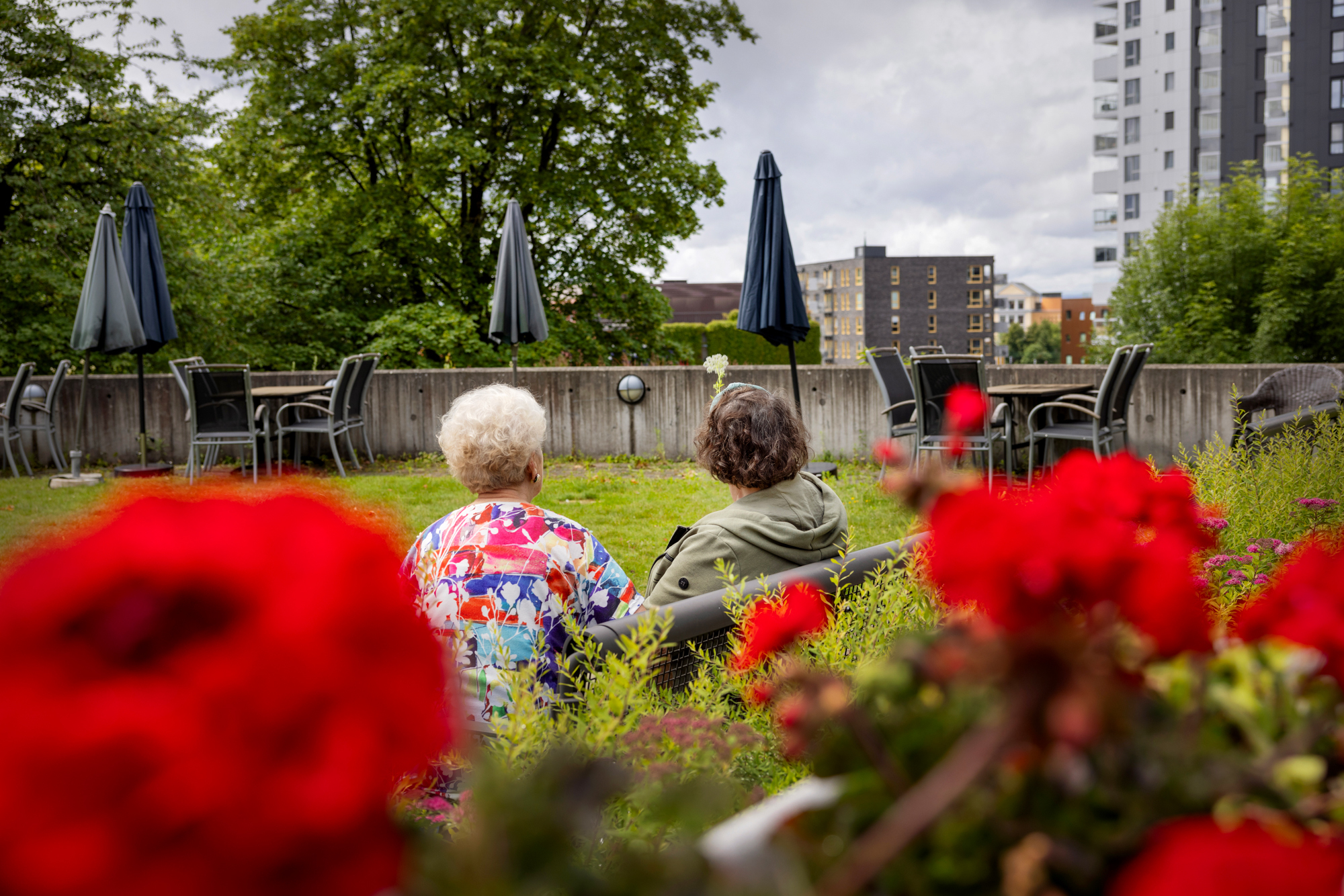 Foto: To eldre kvinner med ryggen til på en benk. De ser utover hagen og byen.
