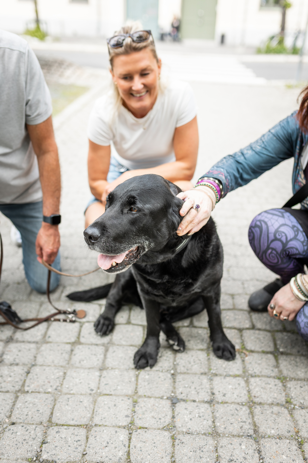 Foto: En svart hund sitter på brosteiner og ser til siden. Bak ham sitter en kvinne på hulk og smiler mot hunden. Vi ser armen og litt av beina til en kvinne og en mann som sitter på hver sin side av hunden, kvinnen klapper hunden.