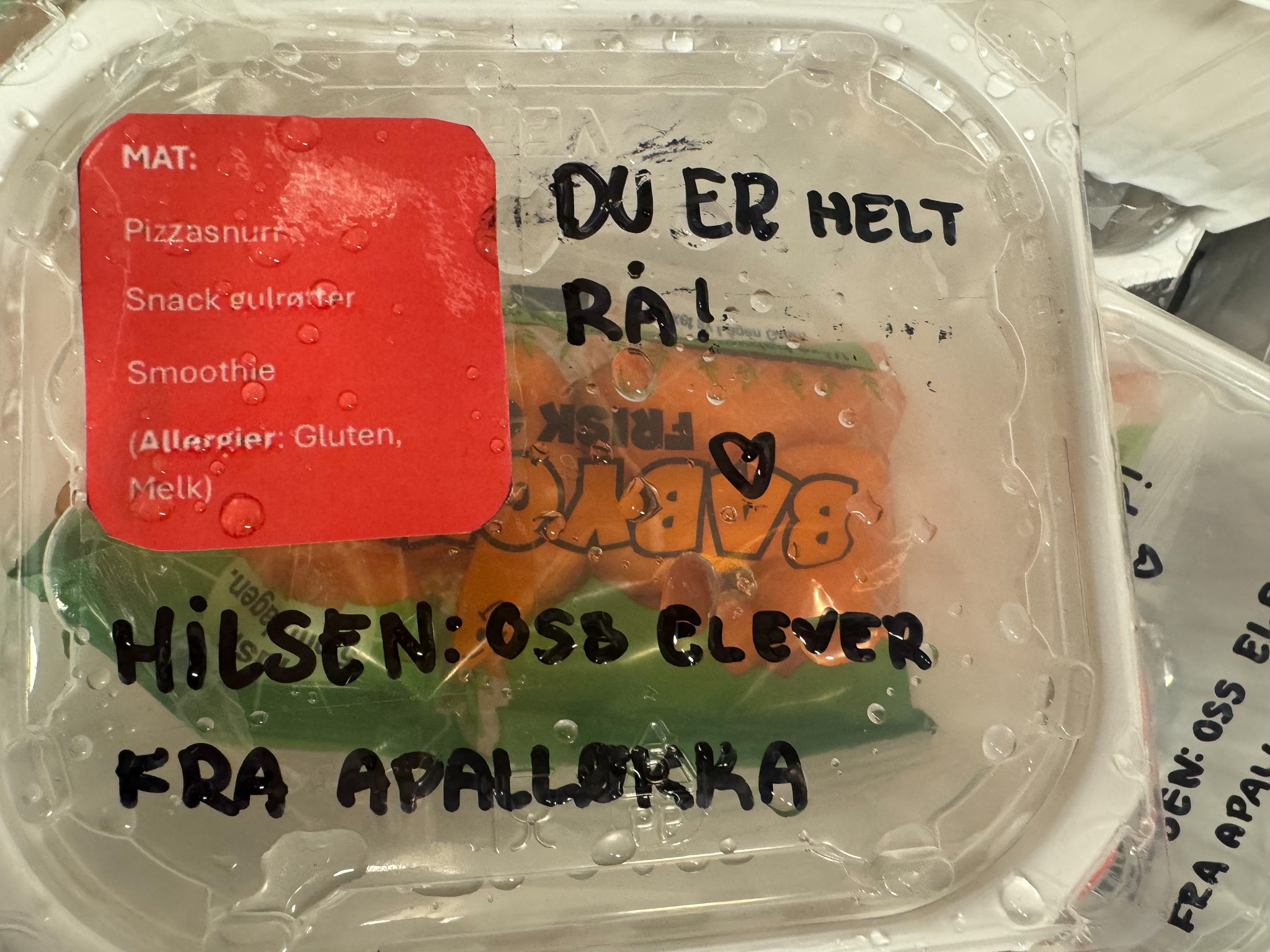 Foto: Matpakke i et beger med plastlokk. Noen har skrevet inn teksten: Du er helt rå. Hilsen: Oss elever fra Apalløkka.
