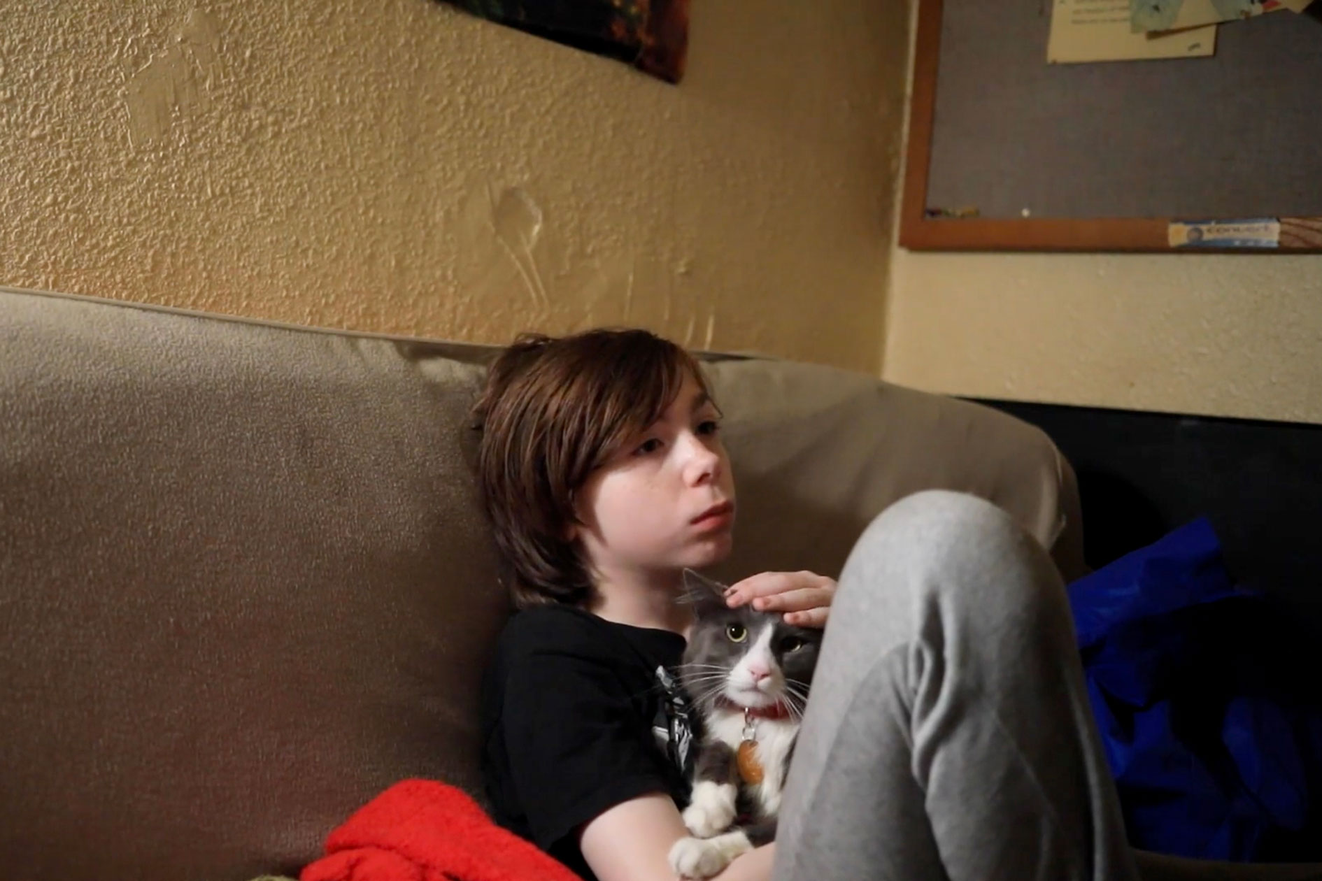 Gutt som sitter i en sofa på et hotellrom. Han holder en grå og hvit katt.