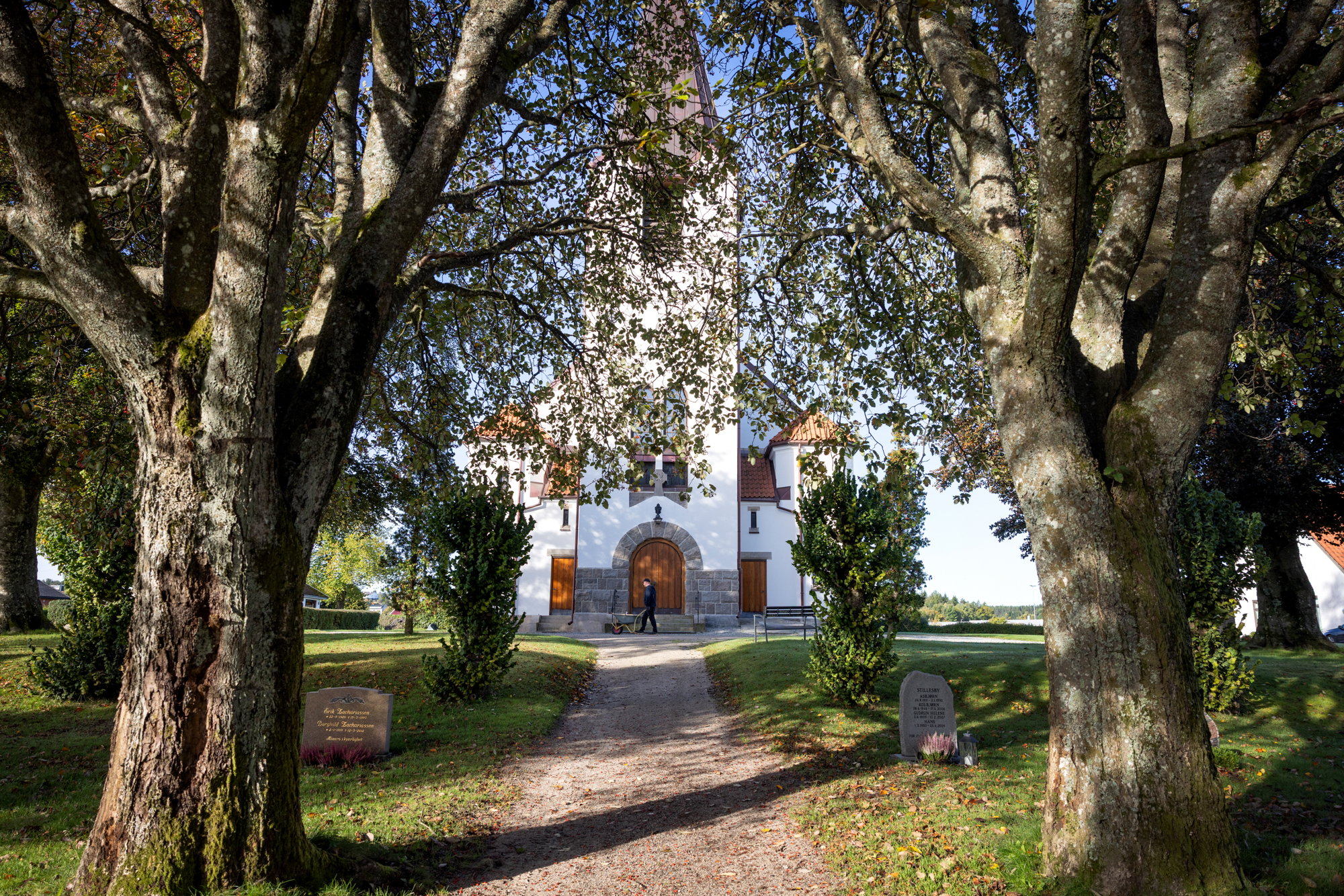 Hvit kirke med stor dør i tre sett gjennom to store trær med høstlige blader.