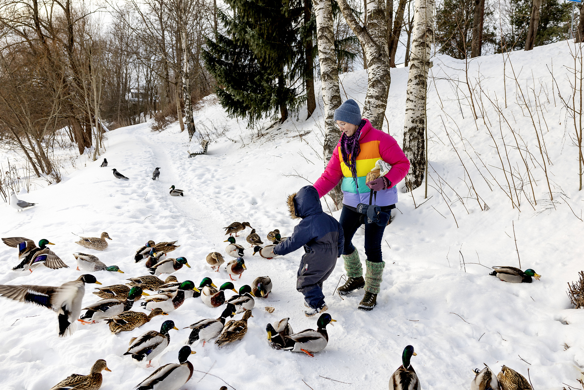 Foto: Dame i fargerik jakke og gutt i mørkeblå vinterdress mater ender ute i snøen.