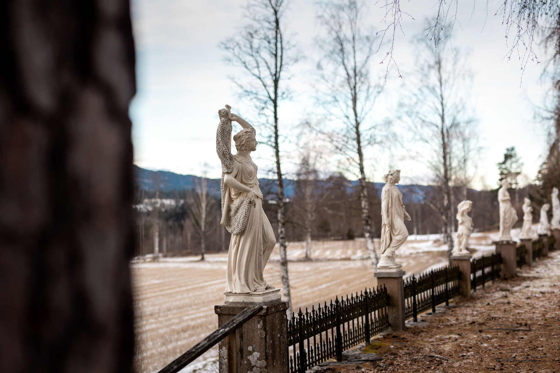 Foto: En rekke av hvite statuer av mennesker står bortover på gjerdestolper. I forgrunnen er en uskarp trestamme, og bak statuene sees et jorde, tre store trær og skog lengre unna.