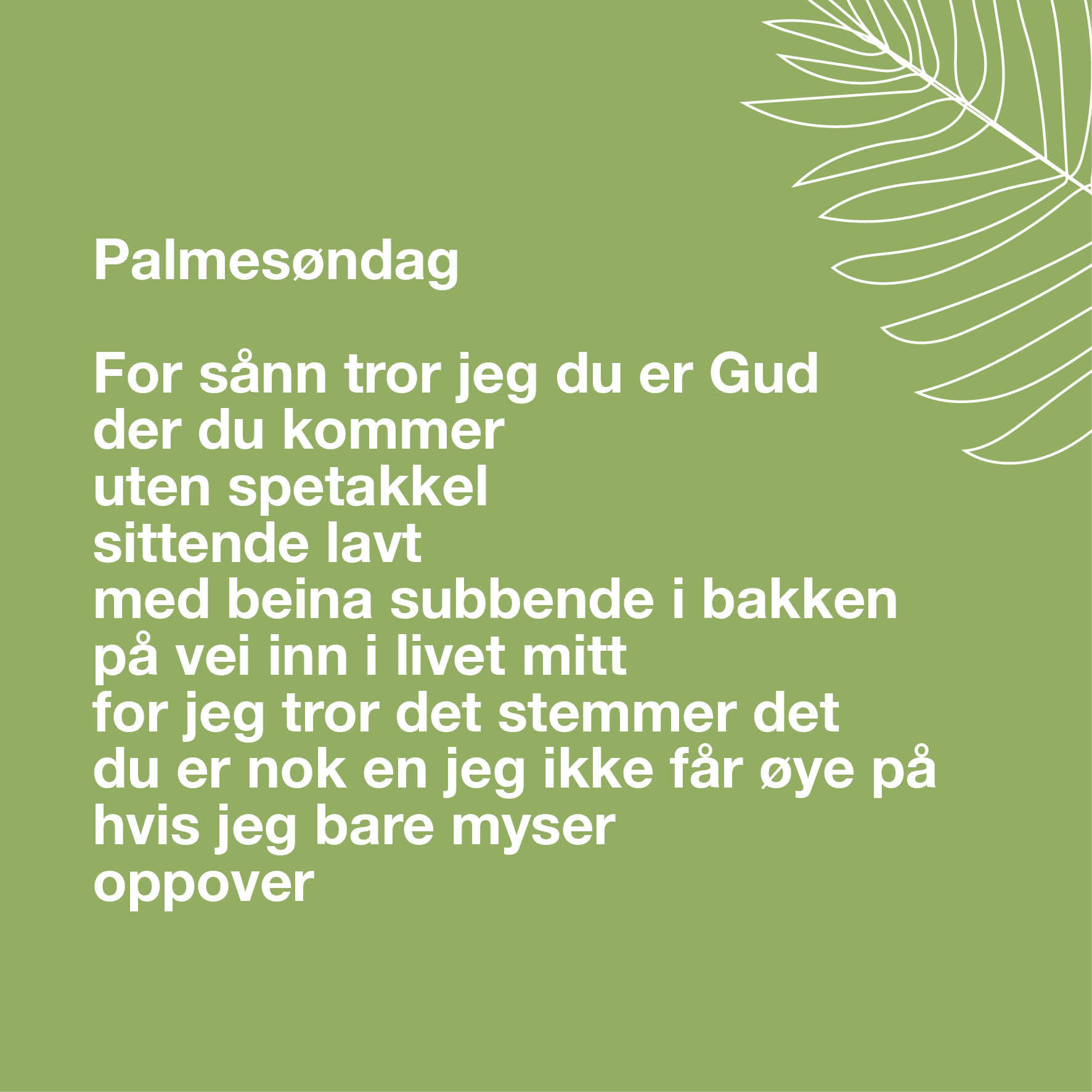 Trygve skaug illustrasjoner5