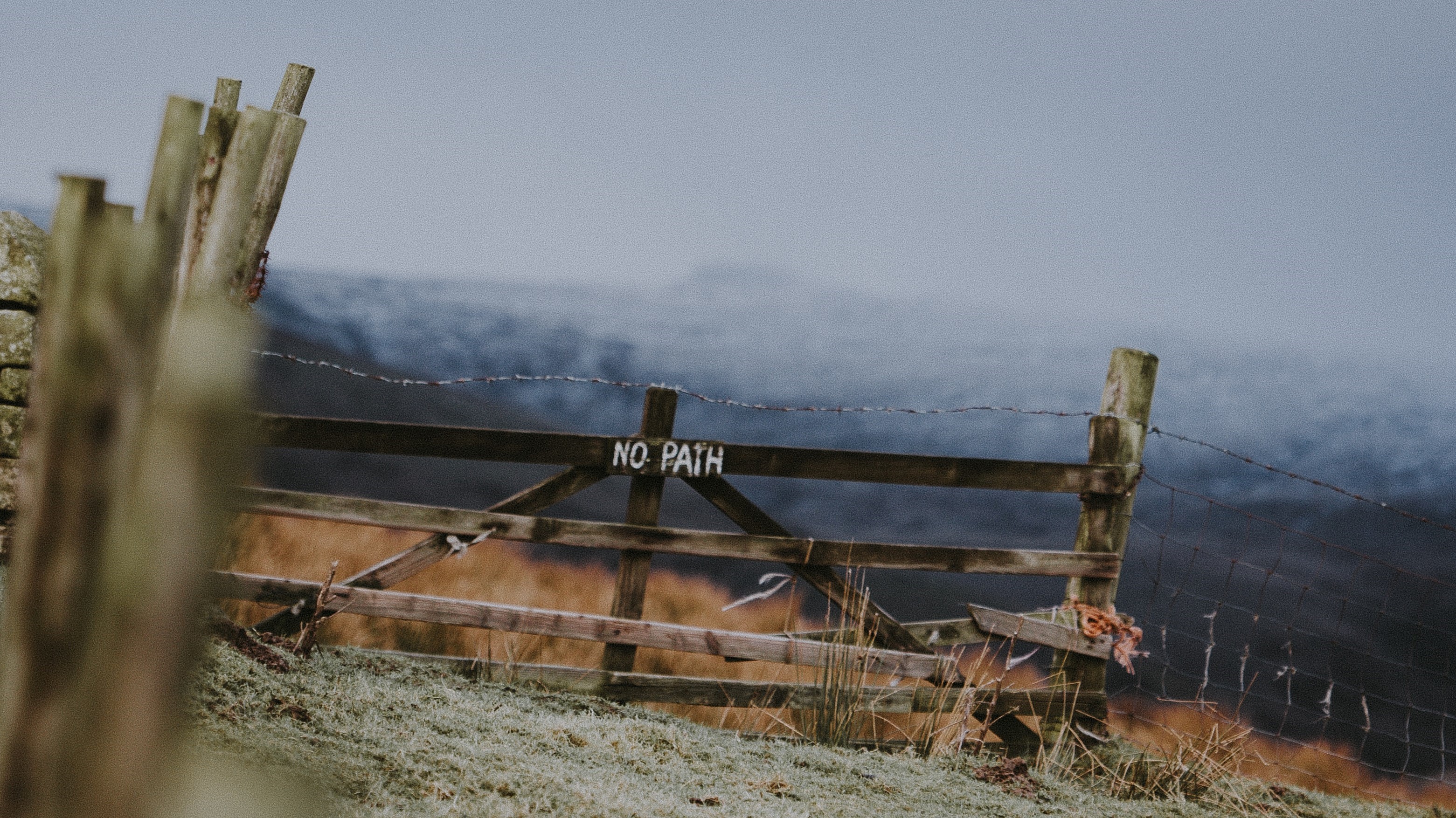 Annie spratt Jquvjb PPSCQ unsplash bredde