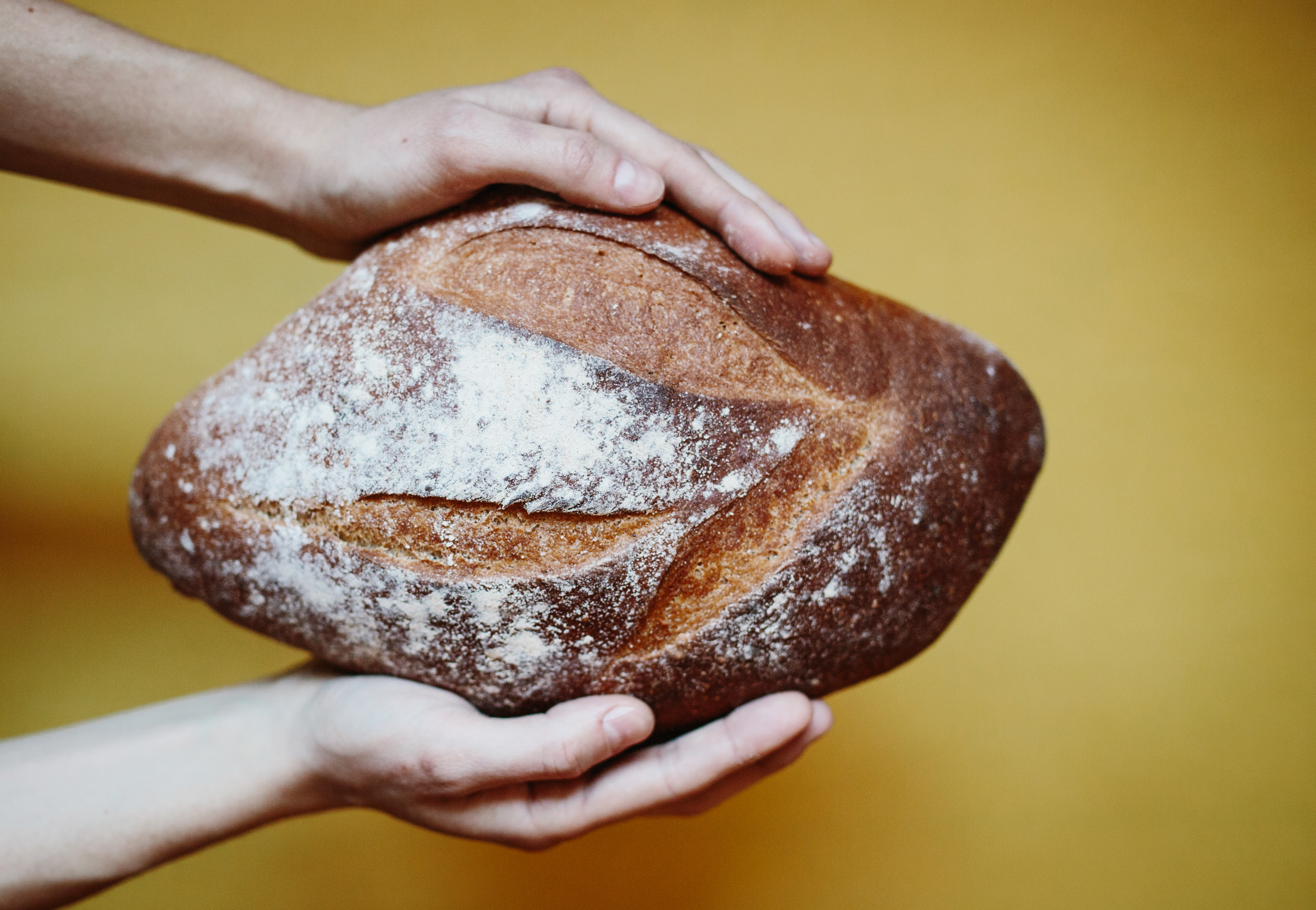 Bildet til venstre: palmegrener og to hender. Bildet til høyre: et brød holdt av to hender.
