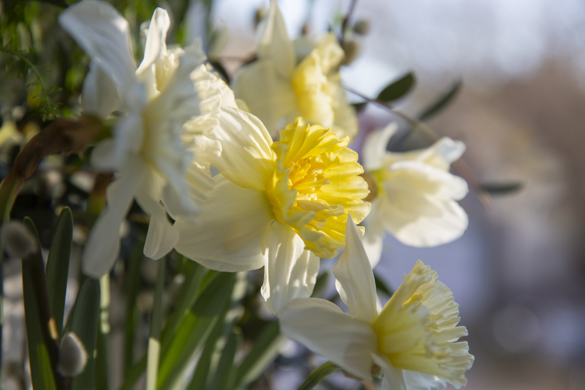 Paskedekor FRL 24444 Foto Mette Randem