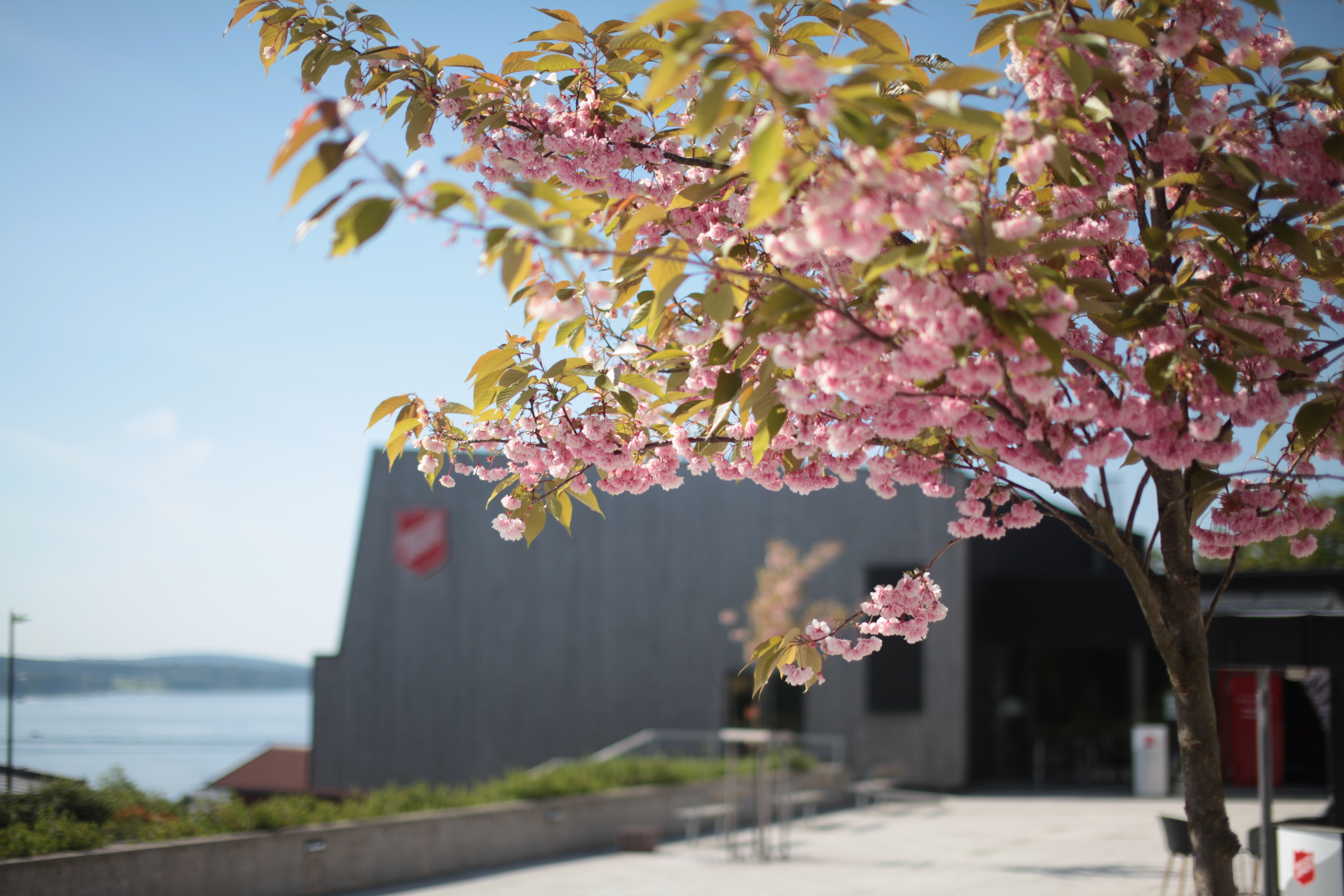 Jeloy kurssenter i Moss perfekt for kursdeltakere med flott beliggenhet