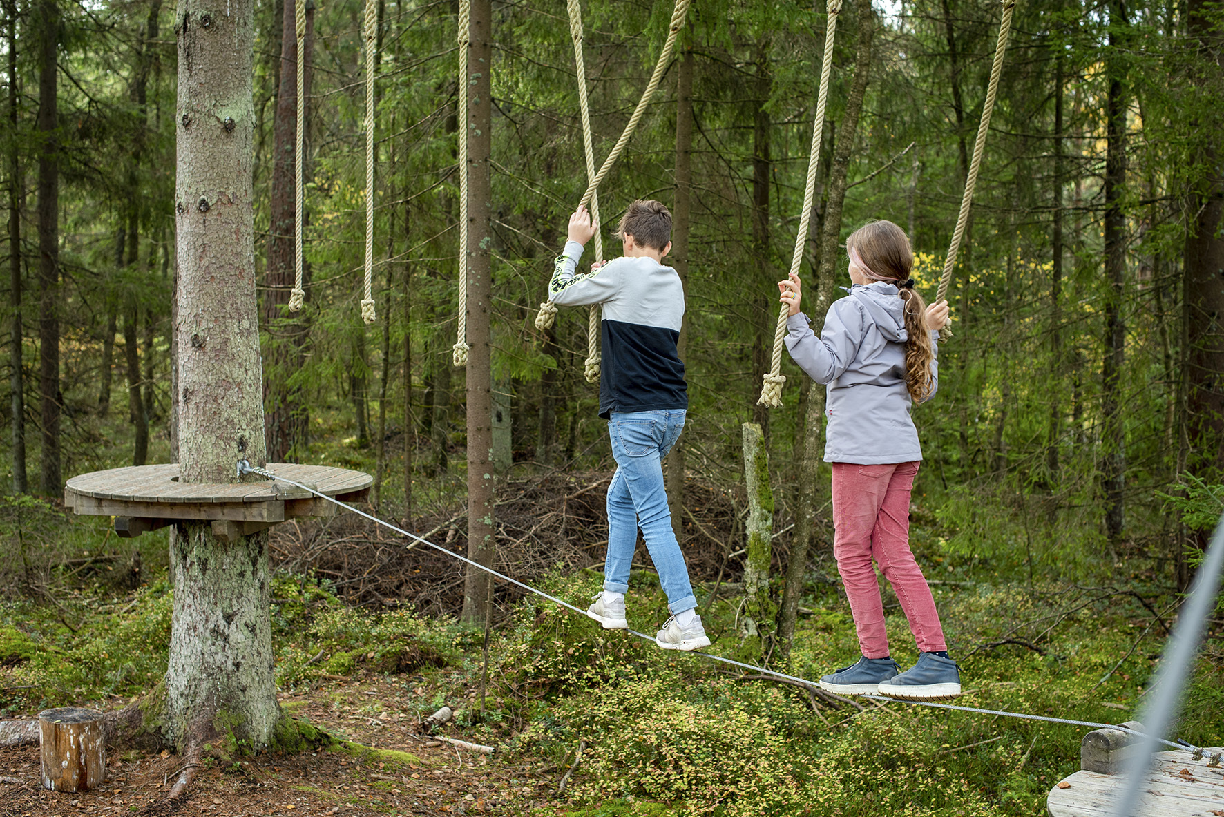 To barn balanserer på en line i en klatrepark i skogen