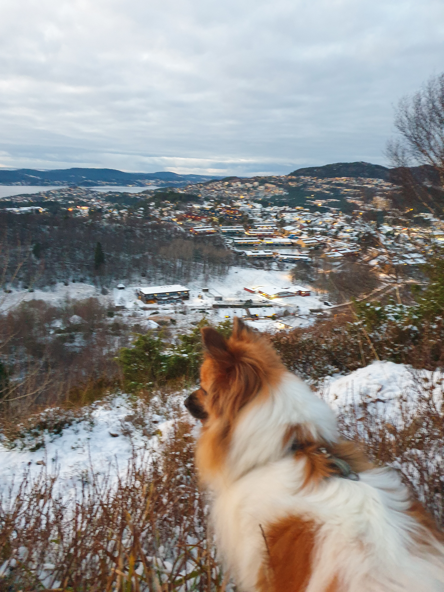 20211226 160356 Trygghet For De Utrygge