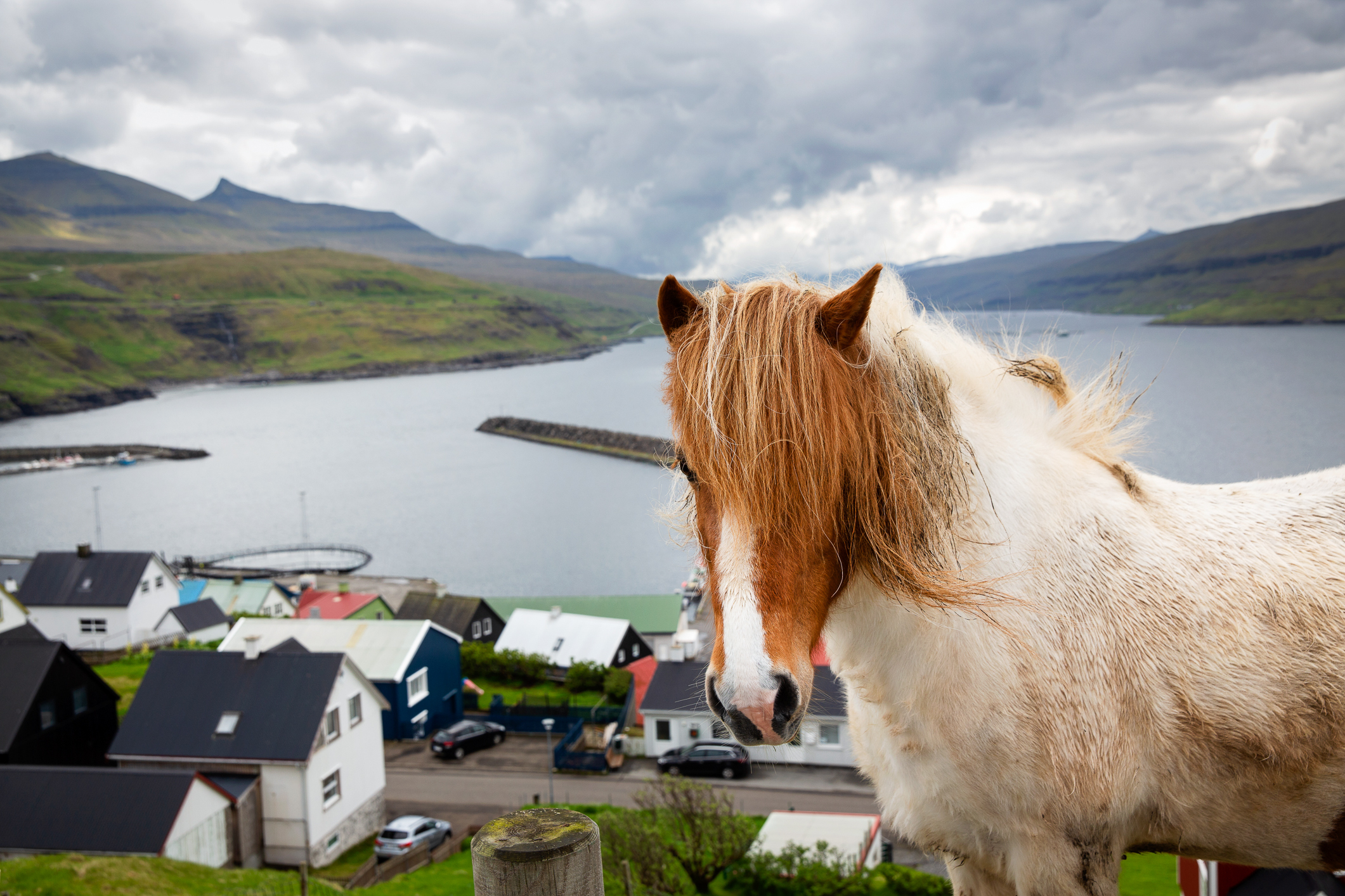 50 B5942 beh Bohemen I Armeen