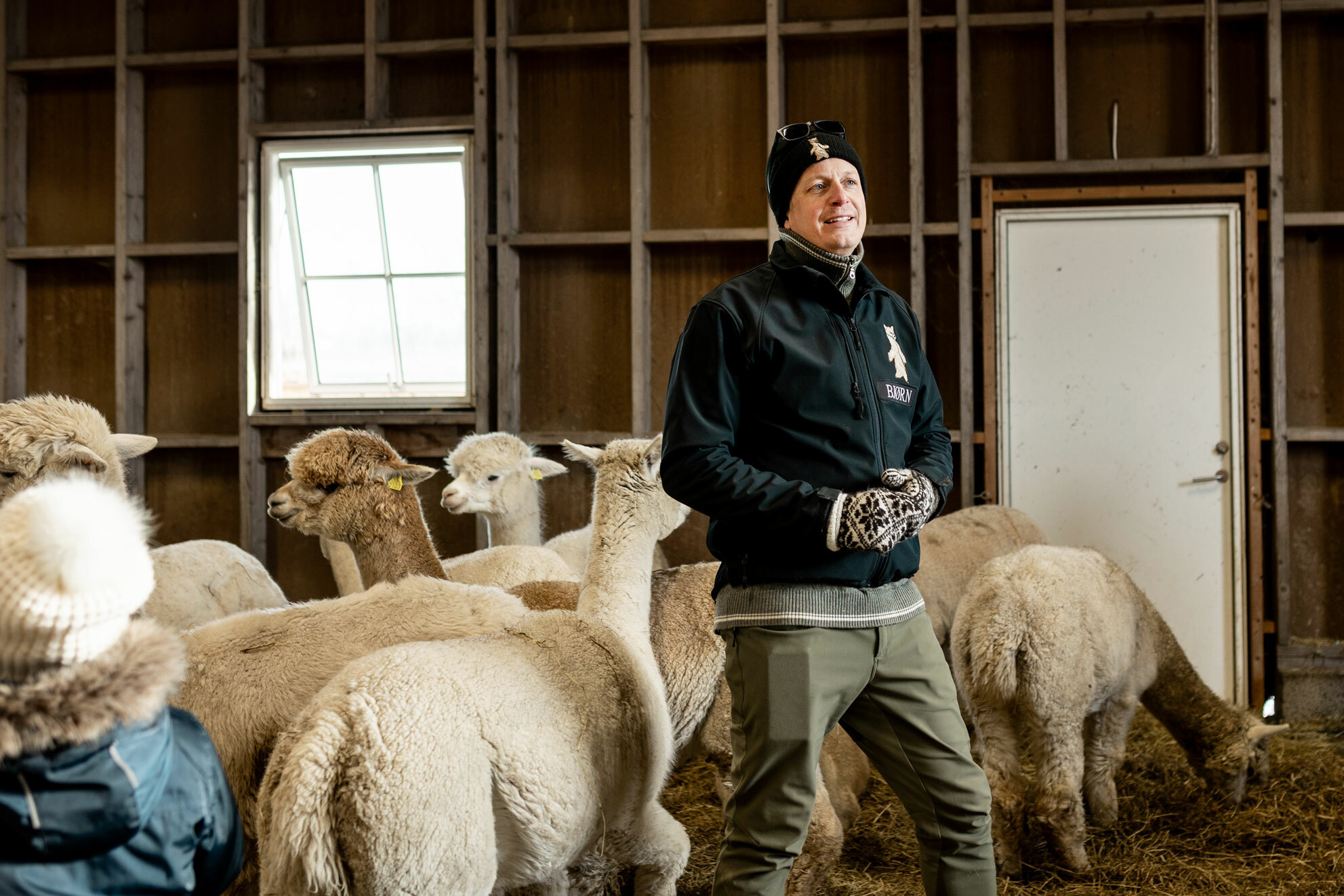 Foto: Mann med lue og hansker står inne i et fjøs fullt av alpakkaer. Han snakker til barn som står rundt.