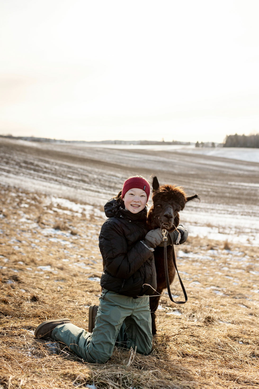Foto: Jente med pannebånd, votter og varme klær, sitter på kne på marka. Det gjør at hennes ansikt er i samme høyde, tett inntil et bustete, brunt alpakkahode.