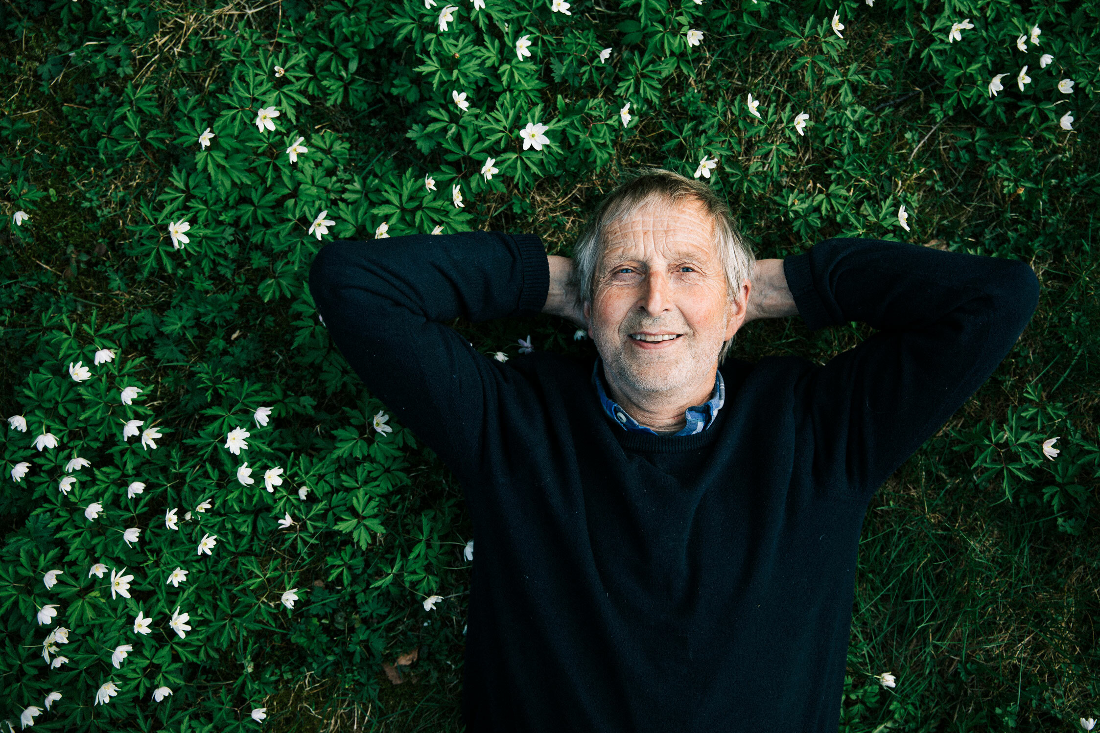 Foto: Mann i 70-årene med grått hår ligger i en eng av hvitveis. Han har begge armene under hodet og smiler mot kamera.