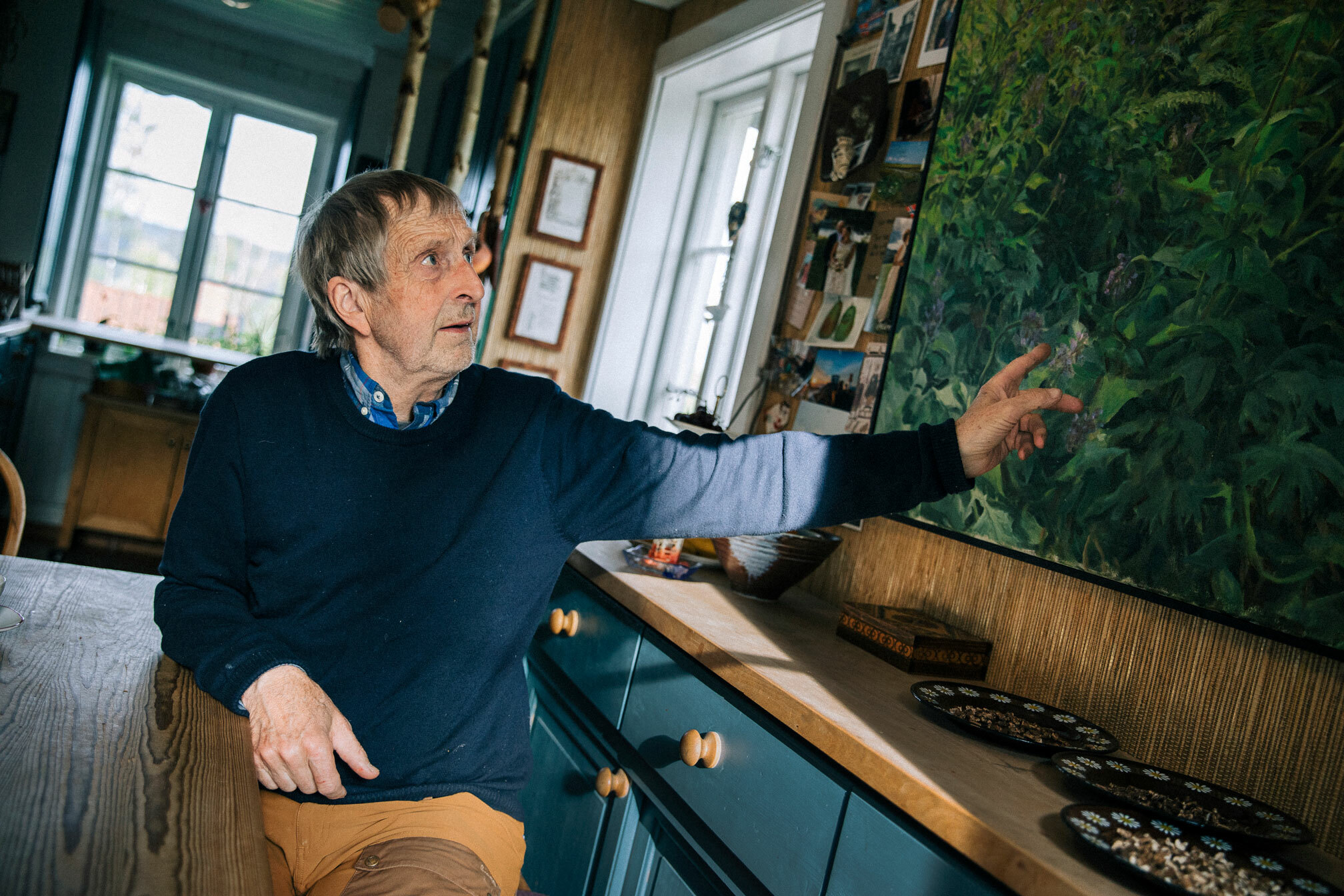 Foto: Mann på over 70 år med grålig hår snur seg ved en bordflate og peker mot et bilde på veggen av en blomstereng. Han har på seg blå og hvitrutete skjorte under en marineblå genser og brunorange turbukser. Han sitter i et kjøkken med to smårutete vinduer i bakgrunnen.