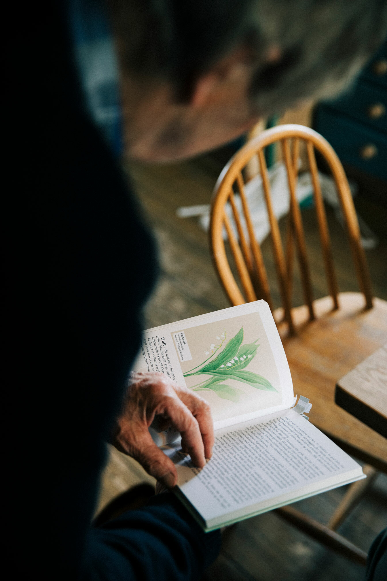 Foto: Hendene til en eldre mann som blar i en bok med illustrasjoner av ville blomster. Han sitter på kjøkkenet, og det står en trestol like bak.
