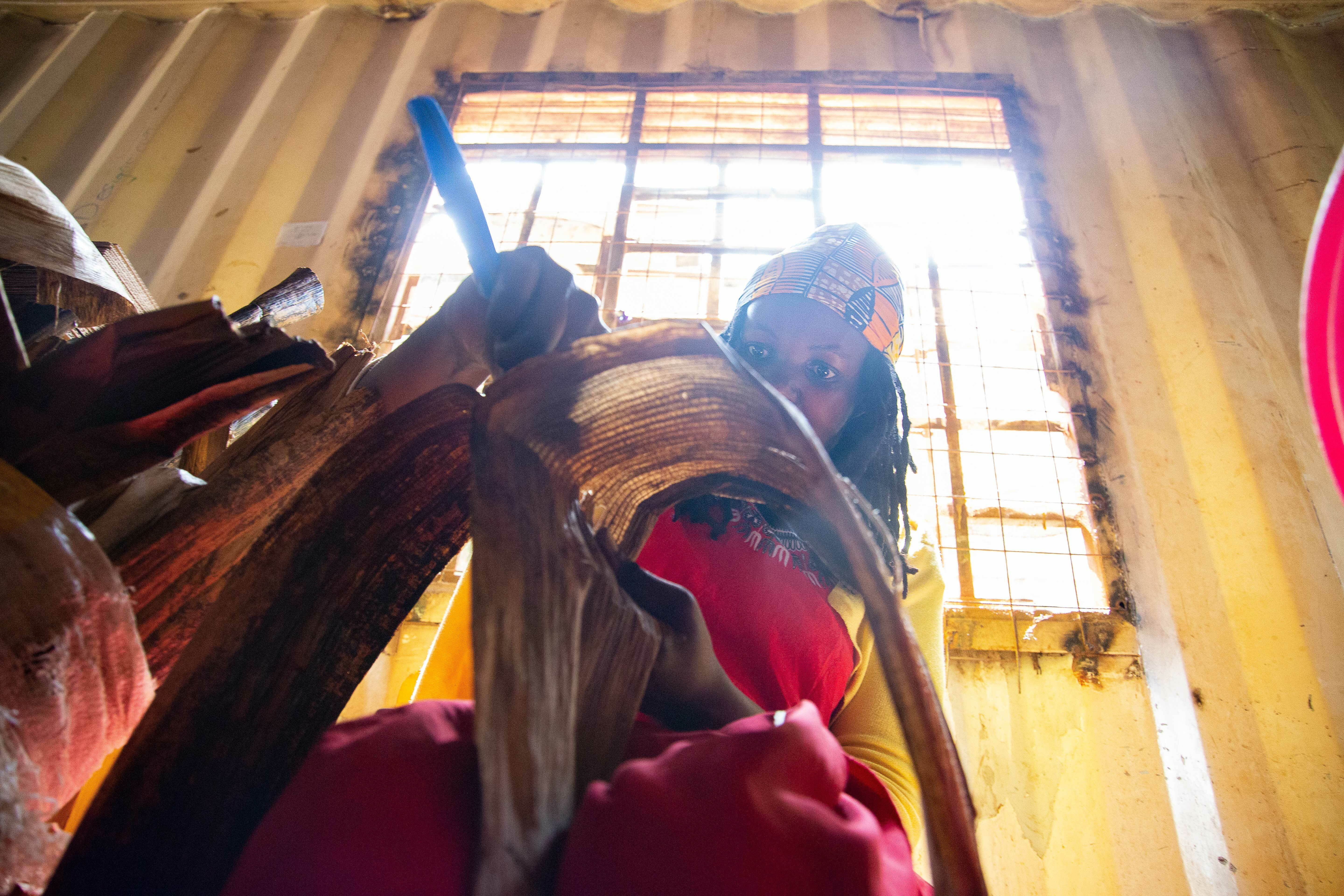 Kvinne splitter et stort, tørket bananblad som er fuktet med vann.