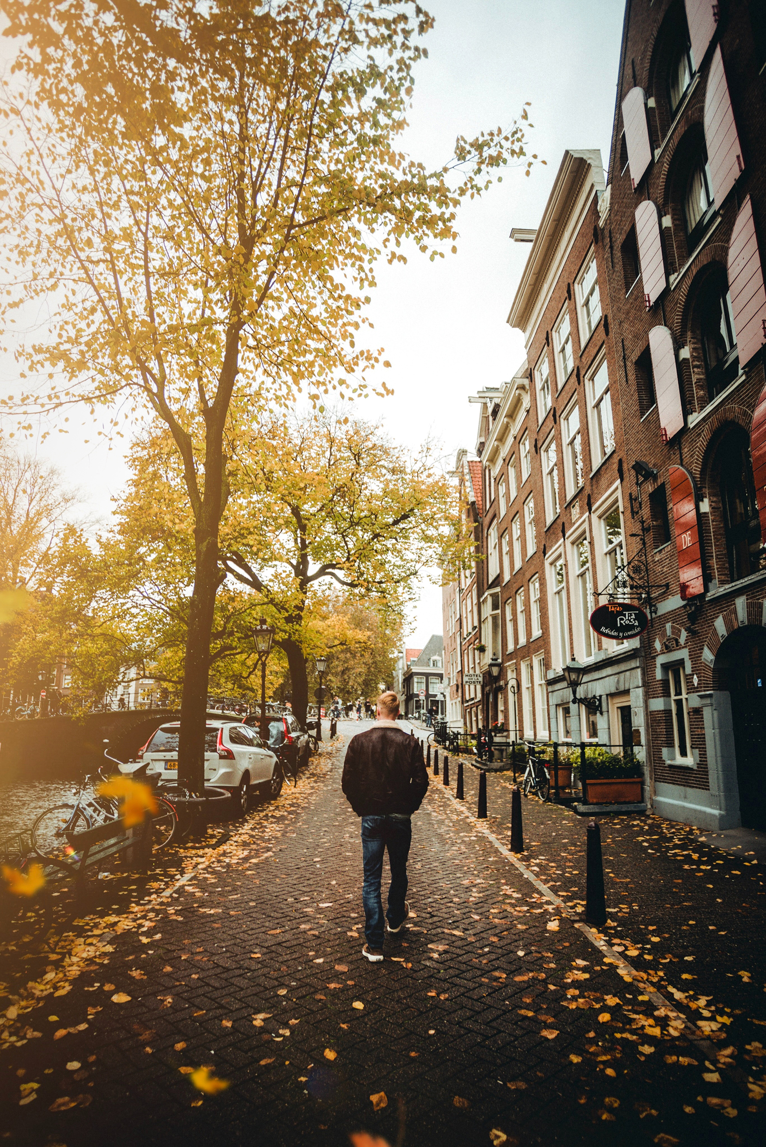 En ung mann med ryggen til, som går bortover en vei