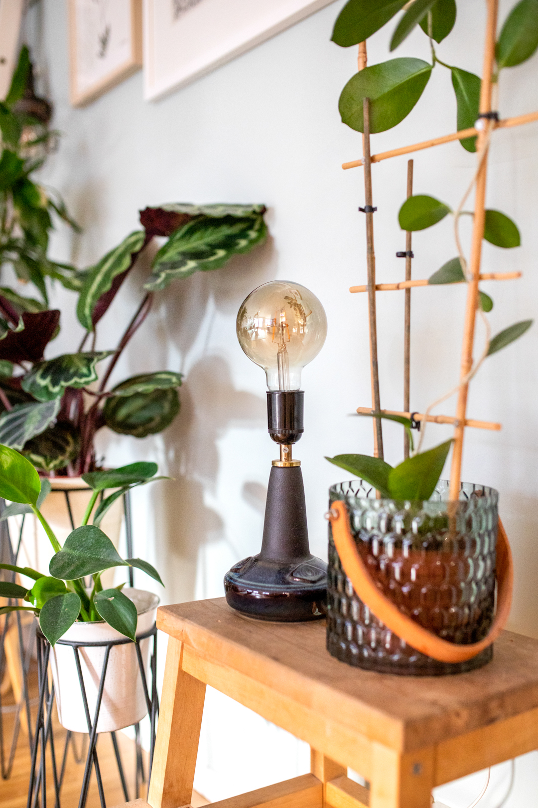 En lampe og potteskjulere til Birgittes planter - stilige bruktfunn til hjemmet.