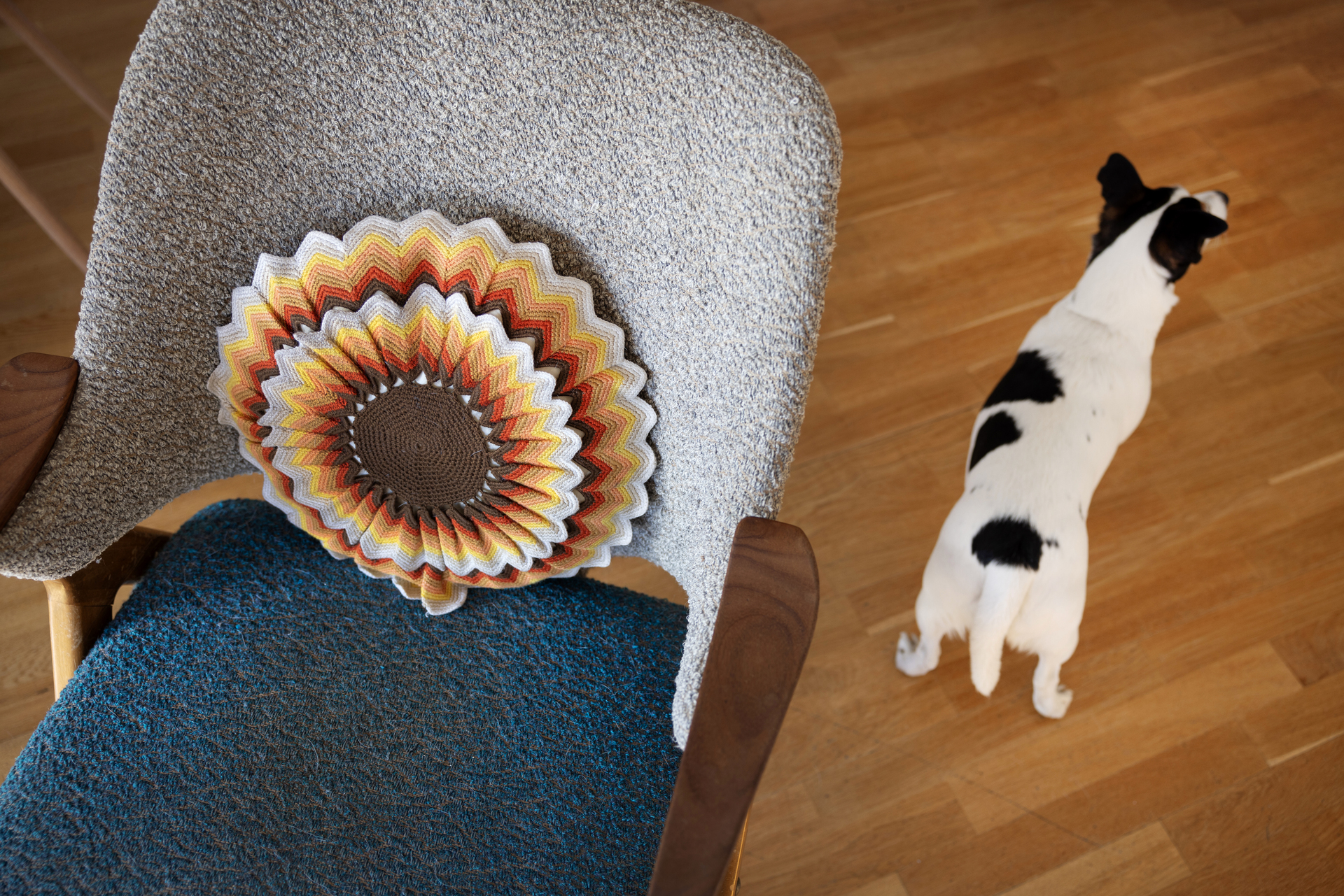 Foto: Av en gammel lenestol fra 50-tallet. Oppi den er en rund pute som har heklet trekk som minner om en solsikke. Ved siden av står hunden med ryggen til kamera.