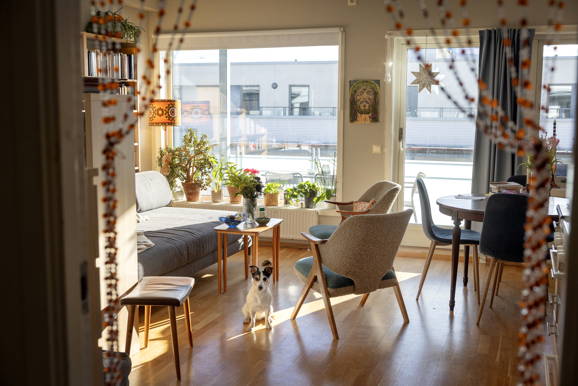 Foto: Av en liten stue med sofa, noen stoler og et spisebort. Mellom alt sitter en liten hund. Det er en lang vindusrekke som gir mye lys.