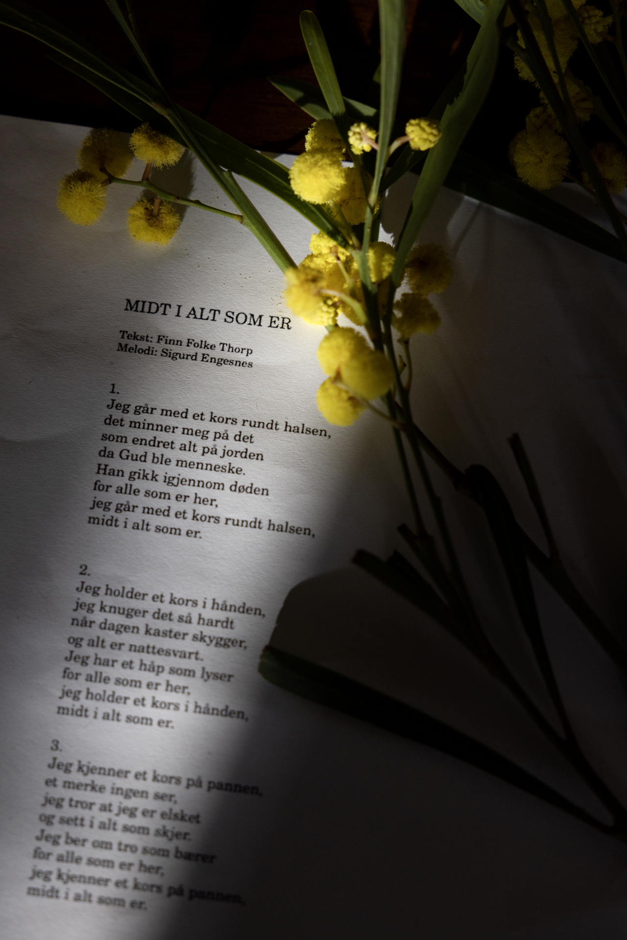 Foto: Av en tekst med tittelen "Midt i alt som er". På arket ligger noen gule blomster.