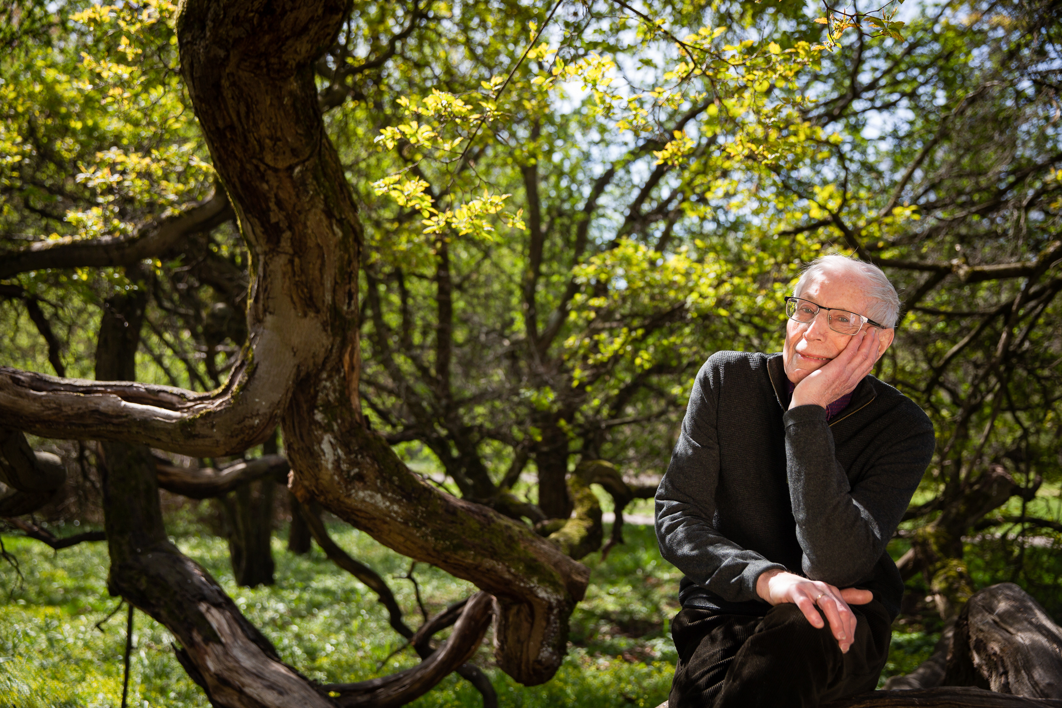 Det Sårbare Mennesket 6703