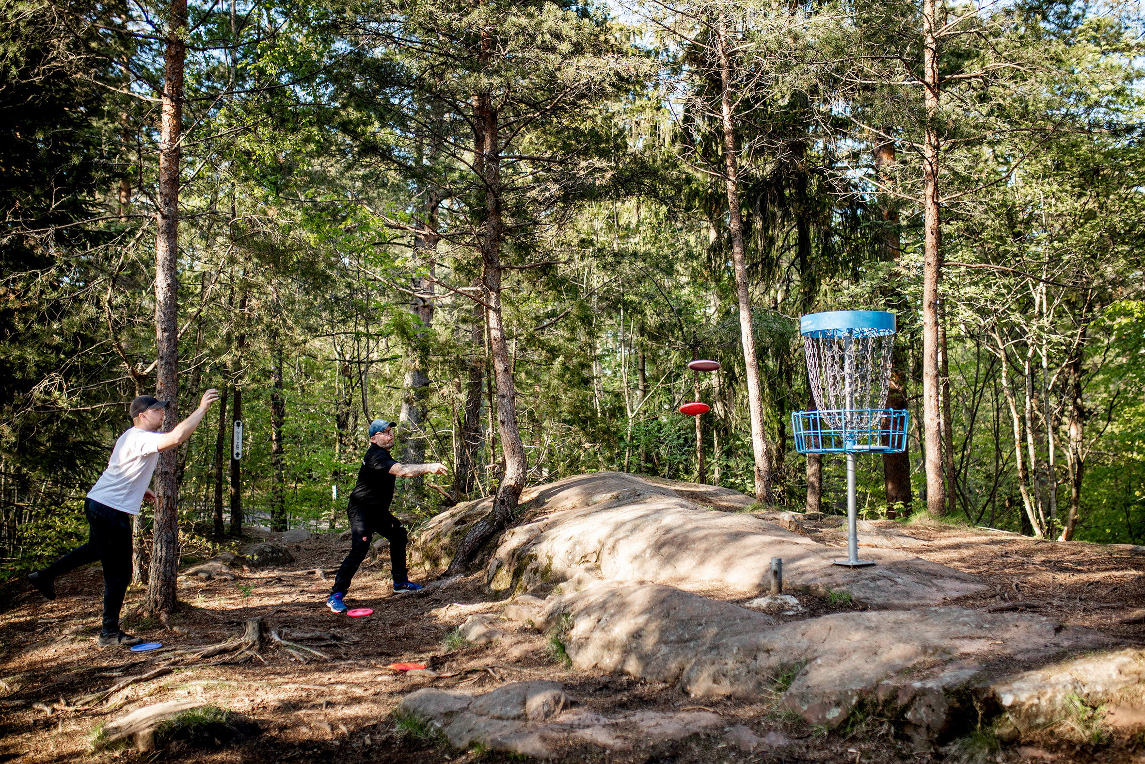 Disc golf Tønsberg nettverk 7