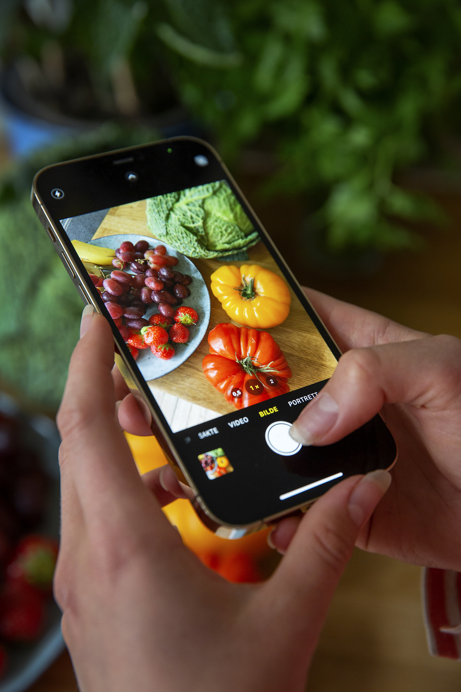 Skjermbilde av Emilie Voe Nerengs Instagram-konto