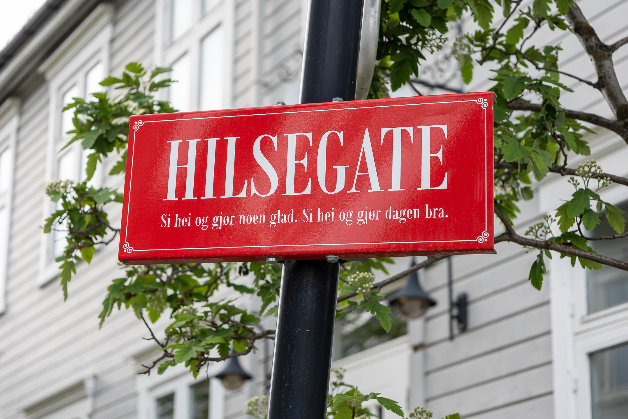 En Varig Forelskelse 4152